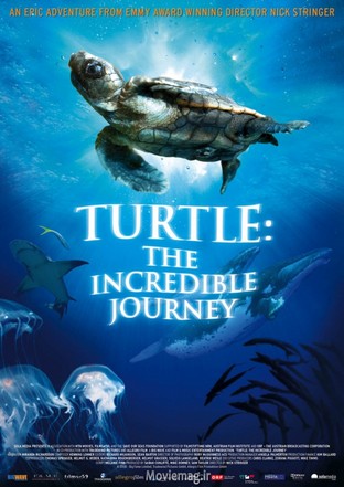 turtle-the-incredible-journey_wm