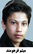Meysam Farhoumand