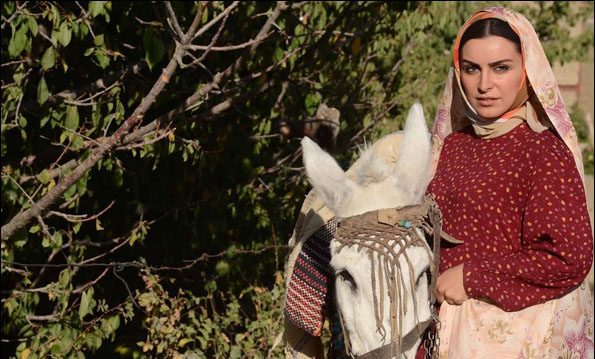 ghalb sefid ghasedakha film 2