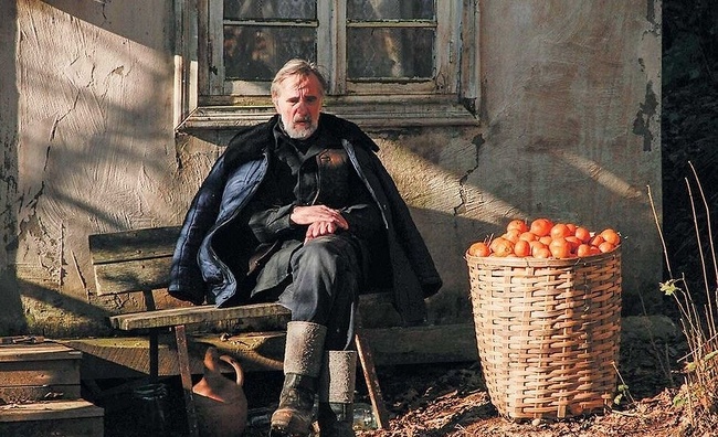 Tangerines