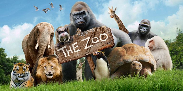 the zoo logo222