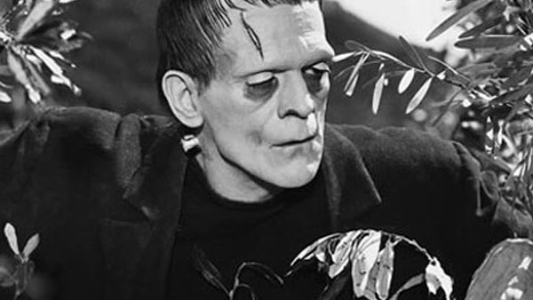۱- Frankenstein