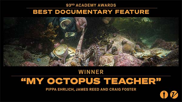 فیلم My Octopus Teacher