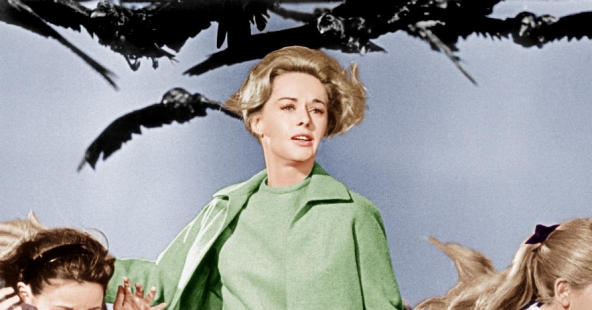 پرندگان (The Birds) (۱۹۶۳)