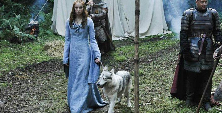 ۶- لیدی در سریال Game Of Thrones