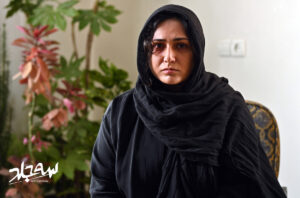 سه جلد